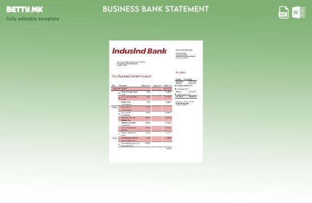 модерен стил Извештај за претпријатието на Индусинд банка Шаблон Word и PDF